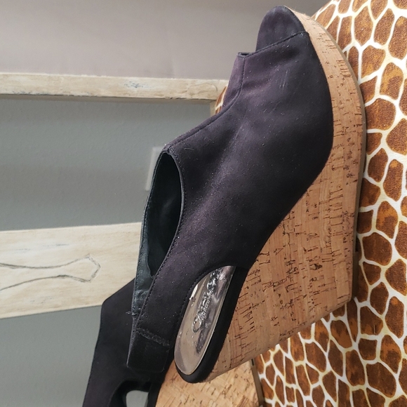 Carlos - Picture 5 of 11